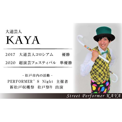 【ふるさと納税】【大道芸人KAYA】有名現役大道芸人直伝！ ジャグリング教室