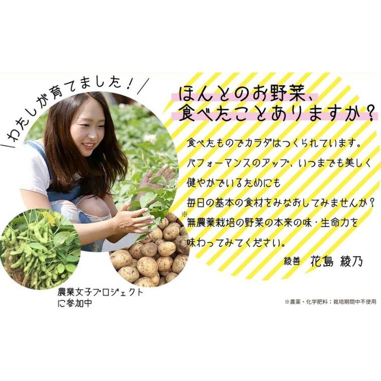 【ふるさと納税】3ヶ月毎 定期便 4回 旬 自然栽培 野菜 M 8～10品 詰め合わせ 福袋