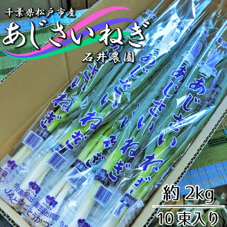 【ふるさと納税】石井さん家のあじさいねぎ 約2kg