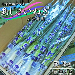 【ふるさと納税】石井さん家のあじさいねぎ 約2kg