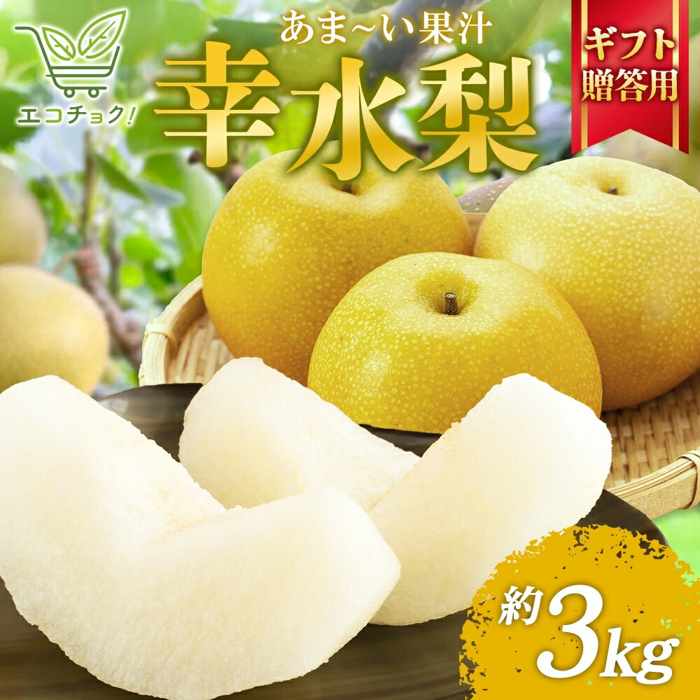 2026年先行予約 エコチョク 幸水 贈答用 3kg 梨 なし 果物 くだもの 青果 フルーツ 旬 えこちょく しゃきしゃき シャキシャキ 旬 旬の果物 常温 贈答品 プレゼント 贈り物 お祝い 産地直送 果汁 お取り寄せ お取り寄せフルーツ 送料無料 千葉県 松戸市