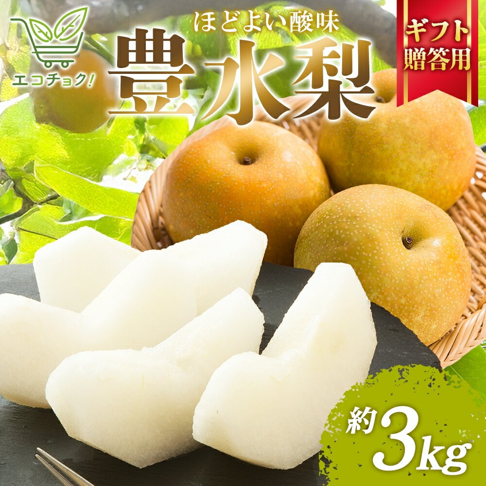 2026年先行予約 エコチョク 豊水 3kg 贈答用 梨 なし 果物 くだもの 青果 フルーツ 旬 えこちょく しゃきしゃき シャキシャキ 旬 旬の果物 常温 贈答品 プレゼント 贈り物 お祝い 産地直送 果汁 お取り寄せ お取り寄せフルーツ 送料無料 千葉県 松戸市