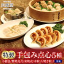【ふるさと納税】天廣堂 特製手包み点心5種セット 小籠包 蟹焼売 広東焼売 水餃子 焼き餃子 餃子 冷凍 中華 点心 セット 簡単調理 本格 プロの味 おつまみ おかず 贈り物 お取り寄せ 詰め合わせ 手づくり 千葉県 松戸市