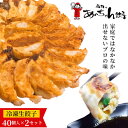 No.011 高輝のあ～ちゃん餃子 ／ ぎょうざ ギョウザ 便利 食べやすい プロ 送料無料 千葉県