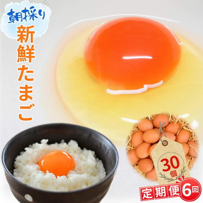 【ふるさと納税】No.091 【毎月定期便6回】美味しい産みたて朝採り新鮮たまご(手集卵)ミネラルエッグ30個×6回 / 玉子 新鮮卵 卵かけご飯 玉子焼き 産みたて 養鶏場直送 赤卵 薬品無添加 コラーゲン ミネラル ビタミン 安心安全 送料無料 千葉県
