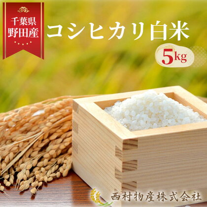 No.139 野田産コシヒカリ白米5kg ／ こしひかり お米 香り 旨み 早場米 送料無料 千葉県