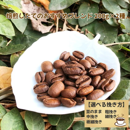 No.171 焙煎したてのおすすめブレンド 200g×2種 選べる挽き方 ／ コーヒー 珈琲 豆そのまま 粗挽き 中挽き 細挽き 極細挽き 送料無料 千葉県