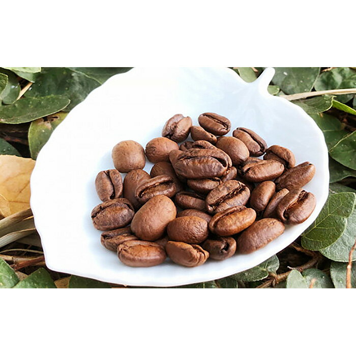 【ふるさと納税】No.174 焙煎したてのおすすめドリップパック 14g×30 ／ 珈琲 コーヒー オススメ 独自製法 自家焙煎 山ぼうし 送料無料 千葉県