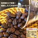 15位! 口コミ数「0件」評価「0」No.178 【毎月定期便6回】珈琲鑑定士が厳選！焙煎したてのおすすめコーヒー 選べる挽き方 ／ 珈琲 豆そのまま 粗挽き 中挽き 細挽き ･･･ 