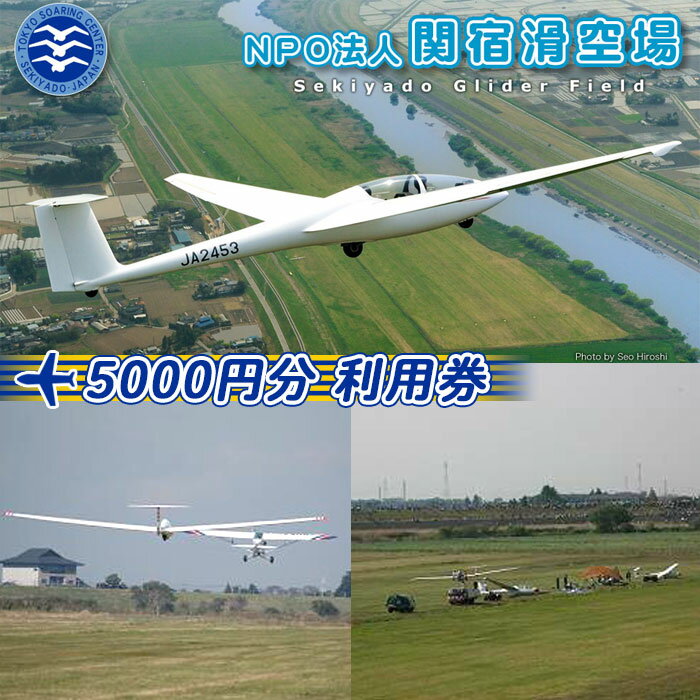 【ふるさと納税】No.193 NPO法人関宿滑空場施設利用券（5000円分） ／ 滑空場 利用券 スカイスポーツ ...