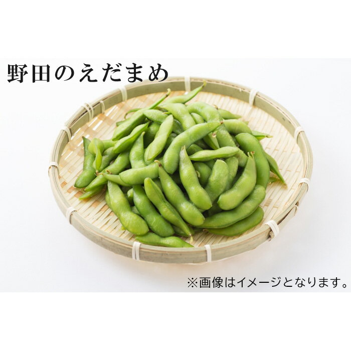 野田のえだまめ / 夏 栄養 本来の味 自然 送料無料 千葉県