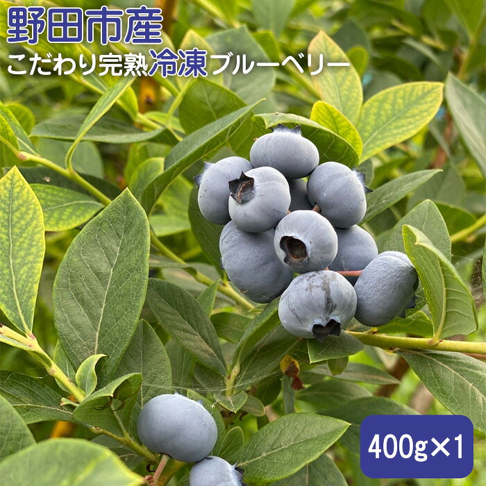 野田市産こだわり完熟冷凍ブルーベリー 400g ／ 眼精疲労回復 アンチエイジング フルーツ 送料無料 千葉県 No.270