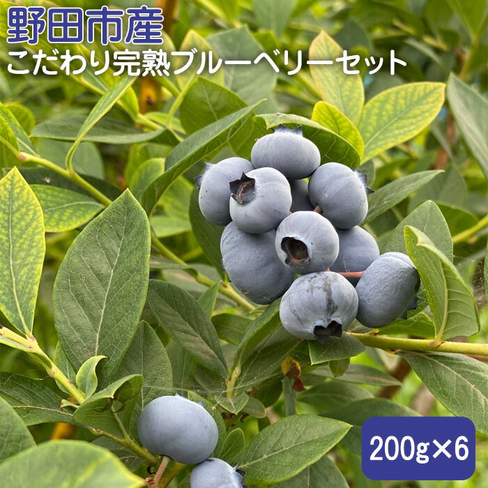 No.278 野田市産こだわり完熟ブルーベリーセット 200g×6 ／ 眼精疲労回復 アンチエイジング フルーツ 送料無料 千葉県