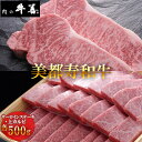 【ふるさと納税】No.288 【美都寿和牛】サーロインステーキと上カルビ / 肉 オリジナル ブランド牛 送料無料 千葉県