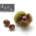 【ふるさと納税】No.305 千葉県野田市産 栗(ぽろたん) 2kg / 果物 フルーツ くり 甘い ほろほろ 柔らかい 送料無料 千葉県