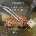 10位! 口コミ数「0件」評価「0」 茂原竹田屋　御食事券(フィレステーキランチコース) ステーキ フィレ お肉 食事券 チケット コース料理 特別料理 お食事券 利用券 ラン･･･ 