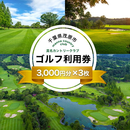 真名カントリークラブ利用券(3,000円分×3枚) ふるさと納税 ゴルフ ゴルフ場 利用券 房総 千葉県 茂原市 送料無料 MBK003