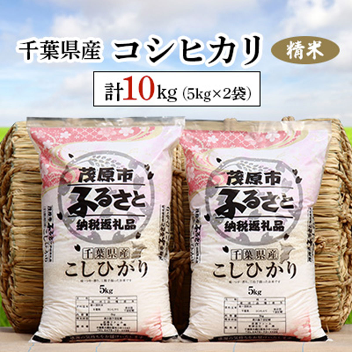 人気ランキング第37位「千葉県茂原市」口コミ数「0件」評価「0」千葉県産コシヒカリ 精米 10kg(5kg×2袋) ふるさと納税 コシヒカリ 米 精米 こめ 千葉県 茂原市 MBAD001