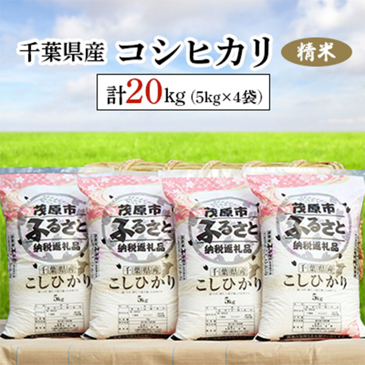 千葉県産コシヒカリ 精米 20kg(5kg×4袋) ふるさと納税 コシヒカリ 米 精米 こめ 千葉県 茂原市 MBAD003