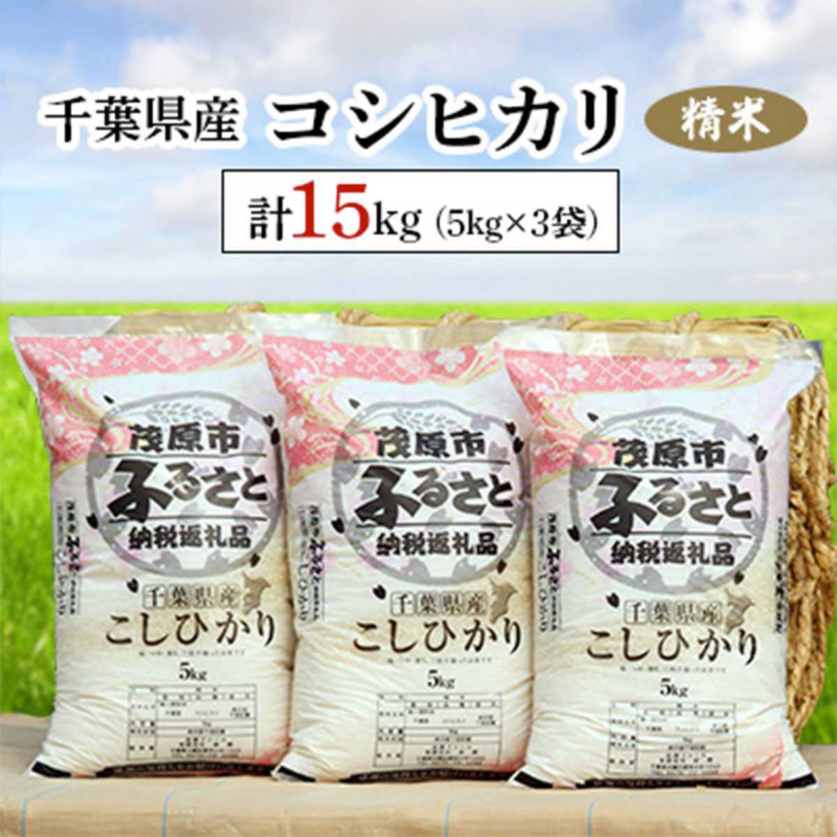 千葉県産コシヒカリ 精米 15kg(5kg×3袋) ふるさと納税 コシヒカリ 米 精米 こめ 千葉県 茂原市 MBAD002