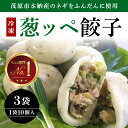 【ふるさと納税】茂原市本納産のネギをふんだんに使用した35g『葱ッペ餃子』 10個入り×3袋 / ふるさと納税 ネギ 餃子 ぎょうざ ギフト 贈答 茂原市 MB...