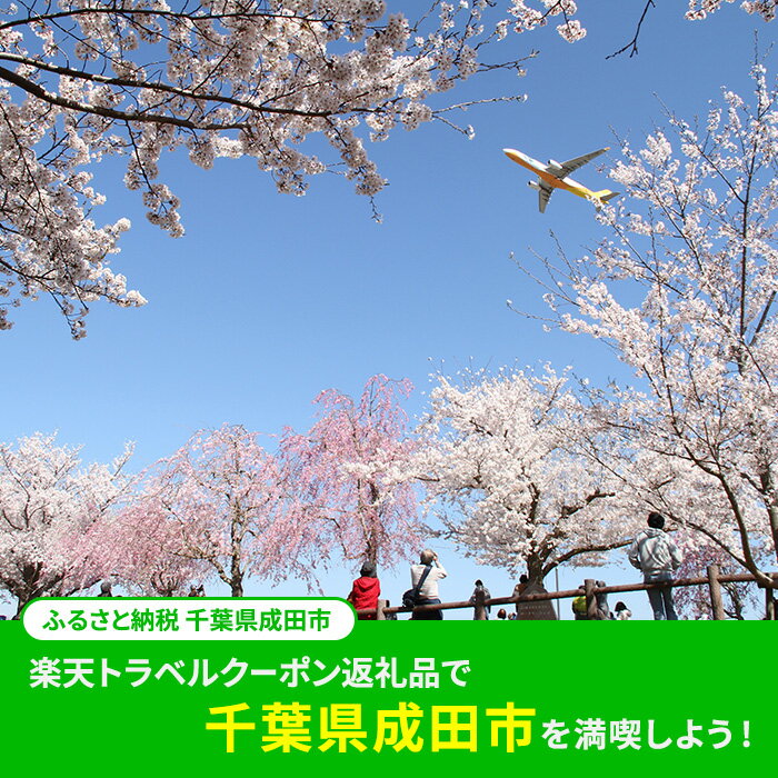 【ふるさと納税】ふるさと納税 千葉県成田市の対象施設で使える 楽天トラベルクーポン 寄付額50,000円(クーポン15,000円)　【高級宿・宿泊券・旅行・ホテル・宿泊券】