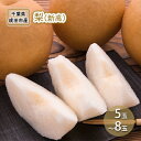 【ふるさと納税】梨 先行予約 新高 5~8玉 なし ナシ 和梨 果物 くだもの フルーツ 旬のフルーツ 旬の果物 デザート 千葉 千葉県 成田市 お届け:2025年8月20日~10月10日