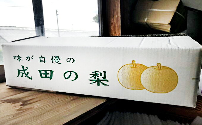 【ふるさと納税】梨 先行予約 新高 5～8玉 なし ナシ 和梨 果物 くだもの フルーツ 旬のフルーツ 旬の果物 デザート 千葉 千葉県 成田市　お届け：2026年8月20日～10月10日 f122114-narita-10000299 千葉県成田市 サンプル画像3
