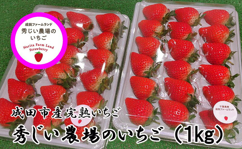 【ふるさと納税】秀じいのいちご（とちおとめ）2箱（1kg）　【果物類・いちご・苺・イチゴ】　お届け：2024年3月下旬～4月中旬