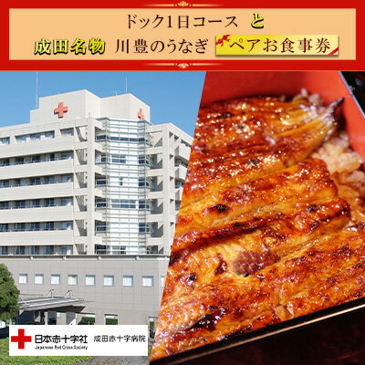【ふるさと納税】成田赤十字病院人間ドック1日コースと成田名物『川豊のうなぎ』ペアお食事券 チケット 健康 身体 検査 ウナギ 鰻 和食