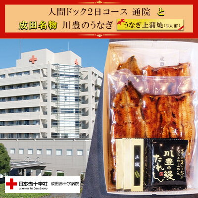 4位! 口コミ数「0件」評価「0」成田赤十字病院人間ドック2日コース（通院）と成田名物『川豊のうなぎ』うなぎ上蒲焼（2人前）　【 チケット 健康 身体 検査 ウナギ 鰻 かば･･･ 