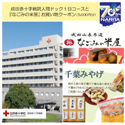 【ふるさと納税】成田赤十字病院人間ドック1日コースと『なごみ