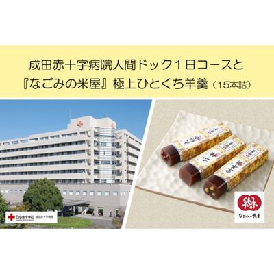 10位! 口コミ数「0件」評価「0」成田赤十字病院人間ドック1日コースと『なごみの米屋』極上ひとくち羊羹（15本詰）　【 体験 チケット 基本コース 血圧 聴力 心電図 胸部 ･･･ 