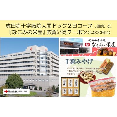 【ふるさと納税】成田赤十字病院人間ドック2日コース（通院）と