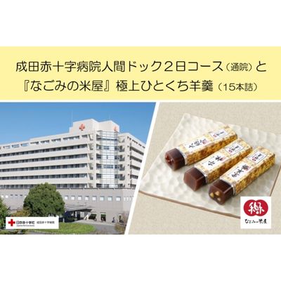 【ふるさと納税】成田赤十字病院人間ドック2日コース（通院）と