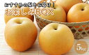 【ふるさと納税】お楽しみBOX おすすめの梨をお届け 梨 7種 セット 詰め合わせ 豊水 秋月 かおり 新星 新高 甘太 にっこり なし ナシ 和梨 果物 くだもの フルーツ 旬のフルーツ 旬の果物 デザート 千葉 千葉県 成田市 お届け:2025年8月20日~10月10日