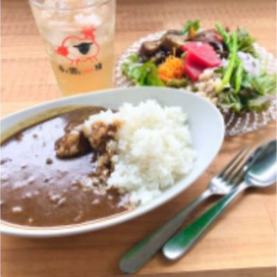 15位! 口コミ数「0件」評価「0」ジビエカレー2人分　【 惣菜 洋食 レトルトカレー 鹿肉 猪肉 湯煎調理 温めるだけ ランチ お昼ご飯 夕飯 ジビエ料理 】