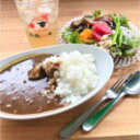 4位! 口コミ数「0件」評価「0」ジビエカレー2人分　【 惣菜 洋食 レトルトカレー 鹿肉 猪肉 湯煎調理 温めるだけ ランチ お昼ご飯 夕飯 ジビエ料理 】