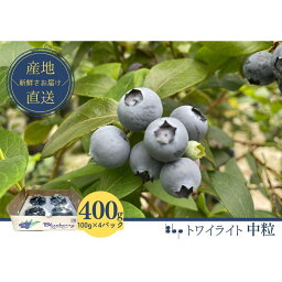 【ふるさと納税】【農薬不使用】フレッシュブルーベリー　(トワイライト中粒100g×4）　【 果物 フルーツ 国産フルーツ 朝摘みブルーベリー 上品な香り 国産ブルーベリー 】　お届け：2024年4月20日～5月30日