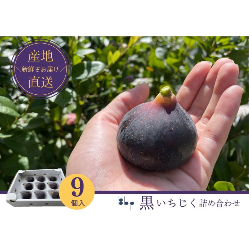 【ふるさと納税】【先行予約】黒いちじく詰め合わせ 9個入り 果物 フルーツ 国産 希少品種 幻の黒いちじく ジューシー 濃厚 上品な甘さ お届け:2026年8...