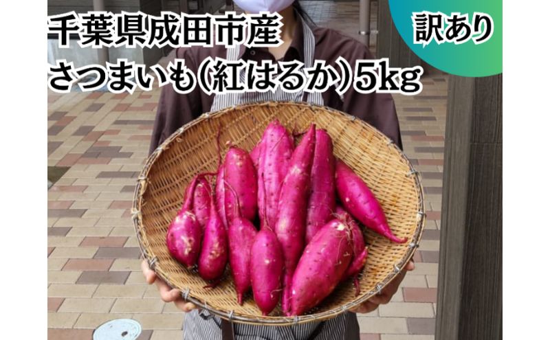 【ふるさと納税】成田市産　さつまいも（紅はるか）　【 野菜 芋 お芋 国産 日本産 国産野菜 グルメ 焼き芋 ふかし芋 大学芋 食材 】