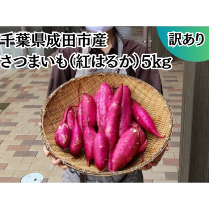 成田市産　さつまいも（紅はるか）　【 野菜 芋 お芋 国産 日本産 国産野菜 グルメ 焼き芋 ふかし芋 大学芋 食材 】