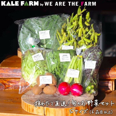 【ふるさと納税】採れたて直送!旬のお野菜セット Sサイズ(6品目以上)【種類おまかせ】【配送不可地域：離島】【1329346】