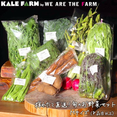 採れたて直送!旬のお野菜セット Mサイズ(8品目以上)【種類おまかせ】【配送不可地域：離島】【1329347】