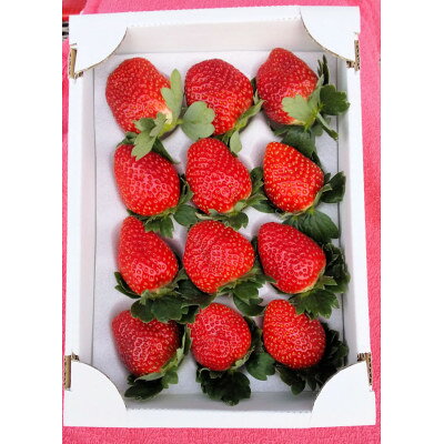 【ふるさと納税】佐倉いちごデラックス【配送不可地域：離島・北海道・沖縄県・東北・中国・四国・九州..