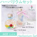 【ふるさと納税】ハーバリウムセット MIX お祝いやお誕生日におすすめ【配送不可地域:離島・沖縄県】【1636486】