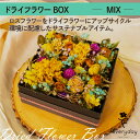 【ふるさと納税】ドライフラワーBOX MIX お祝いやお誕生日におすすめ【配送不可地域:離島・沖縄県】【1636494】