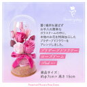 【ふるさと納税】プリザーブドフラワーローズドーム ピンク系 お祝いやお誕生日におすすめ【配送不可地域:離島・沖縄県】【1636500】