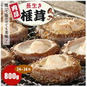 【ふるさと納税】焼いて塩だけでも美味!「肉厚」長生き椎茸800g(24〜34枚)×1パック【配送不可地域:離島】【1665538】