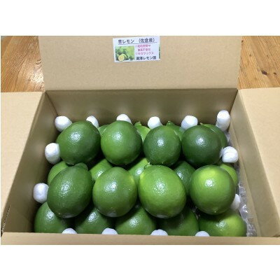 【ふるさと納税】レモン 3.0kg【1677025】